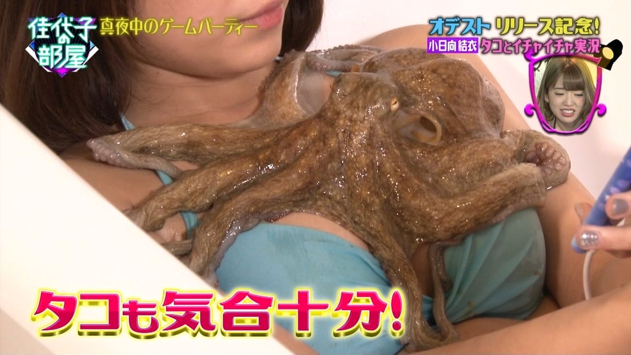 Порно осьминог японка фото 64