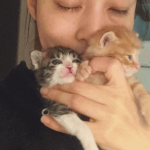 石田ゆり子と２匹の猫