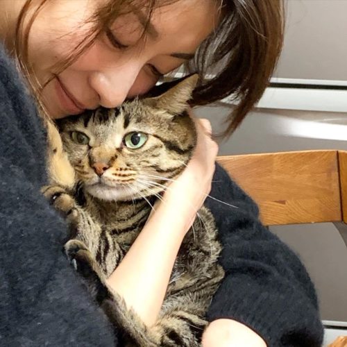 猫を抱いている加藤綾子