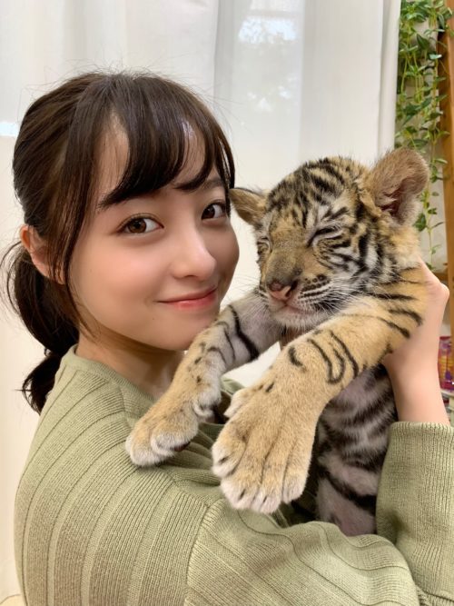 橋本環奈と子供のトラ