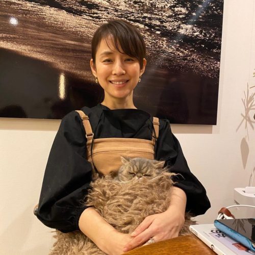石田ゆり子と猫